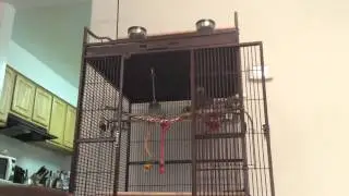 Poe does in fact talk!