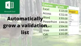 Boost Excel productivity with auto-expanding lists
