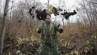 ЛИСТВА ДЛЯ КУР !!! ИЛИ ВМЕСТО ГОЛОВЫ ЖОП@ !!! 28. 11. 2022 год.