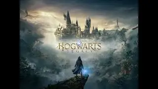 Hogwarts Legacy--A bird in the hand quest walkthrough.