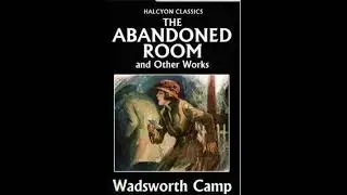 Short summary on the novel 'The Abandoned Room'.