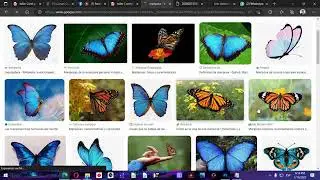 Taller gratuito 01 Photoshop 2023