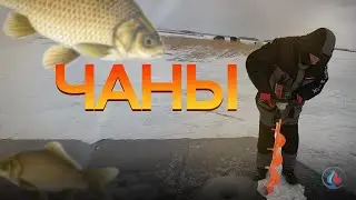 Чаны, с комфортом на льду