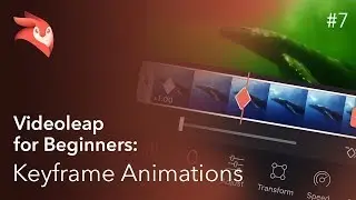 Enlight Videoleap for Beginners: Keyframe Animations