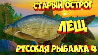 🐟Место ловли Леща #русскаярыбалка4 #russianfishing4 #рыбалка #трофей #лещ #carpfishing #карпфишинг