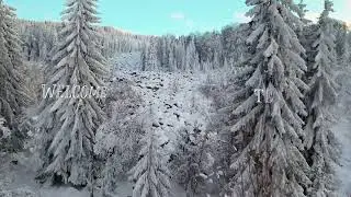Snow text animation