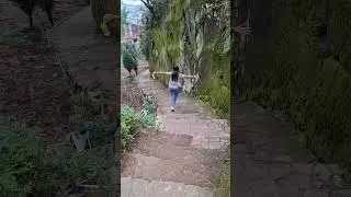 jika tak bersamamu 