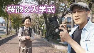 SEL2070Gで撮る桜の散る入学式イメージ【FE20-70mmF4G】