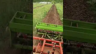 посадка Винограда #биодинамика, #пермакультура