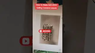 How To Make $1000 Weekly Selling Cassava Leaves Online
