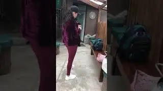 Поезд на мачу Пикчу