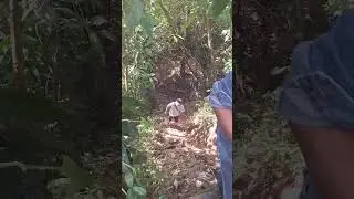 #bundok