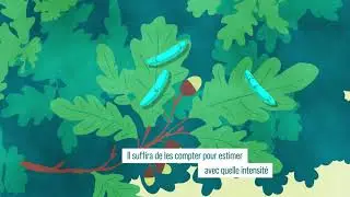 TREE BODYGUARDS : Comment les arbres se protègent-ils des insectes ?