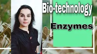 Biotechnology - Enzymes #class12 #biology #neet