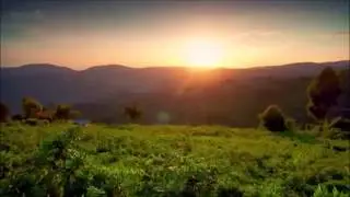 As dawn broke...