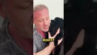 Adorable Dog Gigi gets Cracked & Massaged ~ Falls in Love with Chiropractor! 🥰 🐶