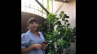 Гостевой дом «Солнце Анапы»