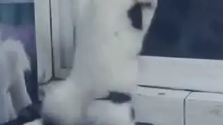 ВСЁ САМ УЗНАЕШЬ!