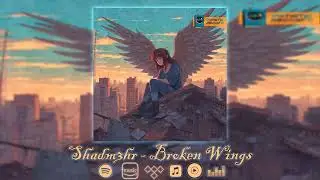 Broken Wings