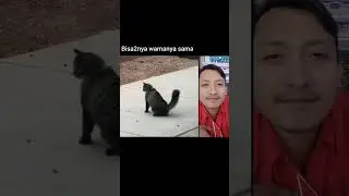 tebak dimana tikusnya?