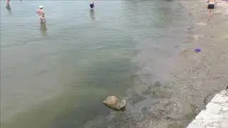 Керчь, берег,пляж Молодёжный, ОЗО Черепашка 12 07 24