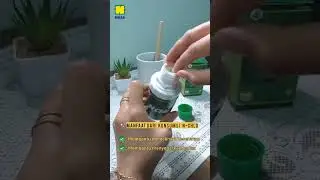 Menyegarkan Tubuh