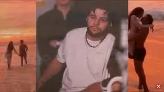 Navai -Чёрный мерин
