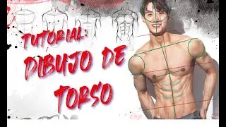 Tutorial: Dibujo de torso con lápiz de grafito.