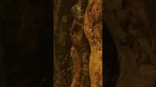 ARK SURVIVAL ASCENDED HIDDEN RATHOLES PT. 2