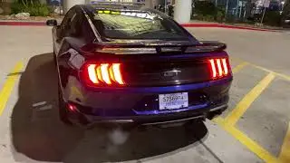 Cold start 2019 Mustang GT with resonator delete and active exhaust.