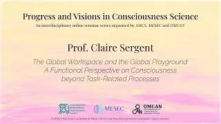 The Global Workspace and the Global Playground -- Claire Sergent