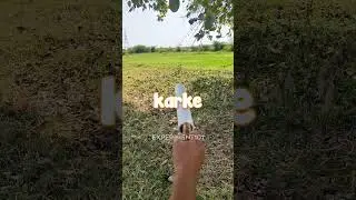 #shorts