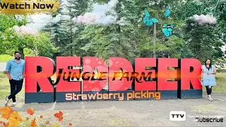 JUNGLE FARM |STRAWBERRY PICKING| #reddeer #coaster #indiansincanada @TIGERKITIMEVACHINDHE