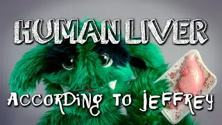 HUMAN LIVER According to Jeffrey | chasethegreenTV