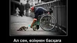 Жакау - Өте шығар өмір