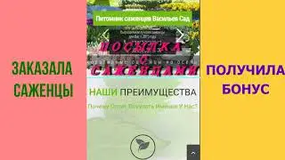 Мои растишки №43 / Саженцы из питомника Васильев сад/ Обзор