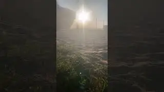 утро начинается не с кофе