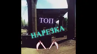 Tarkov просто нарезка