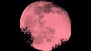[FREE] BRYSON TILLER X DRAKE X BRENT FAIYAZ TYPE BEAT 