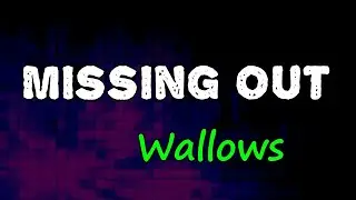 Wallows - Missing Out (Lyrics)