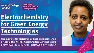 IMSE Annual Lecture: Electrochemistry for Green Energy Technologies