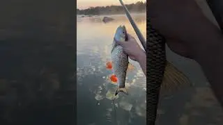 Красавчигг😍