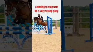 Learning to stay soft on strong Gem 