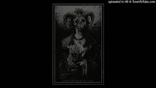 Doddy Gatz - The Fool