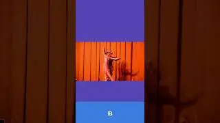 Балет 