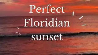 Florida has the most beautiful sunsets 🔥🌅
