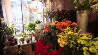 Lewesiana Florists, Lewes