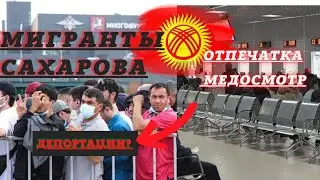 МИГРАНТЫ, ОТПЕЧАТКА, МЕДОСМОТР, САХАРОВА, 🇰🇬