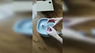 🐈 unboxing long 😻 #cat #shorts #kucing