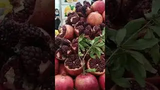 Beautiful pomegranate in Russia #shorts #russia